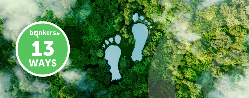 13 ways to reduce your carbon footprint and save money